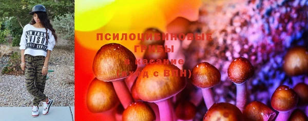 стафф Киреевск