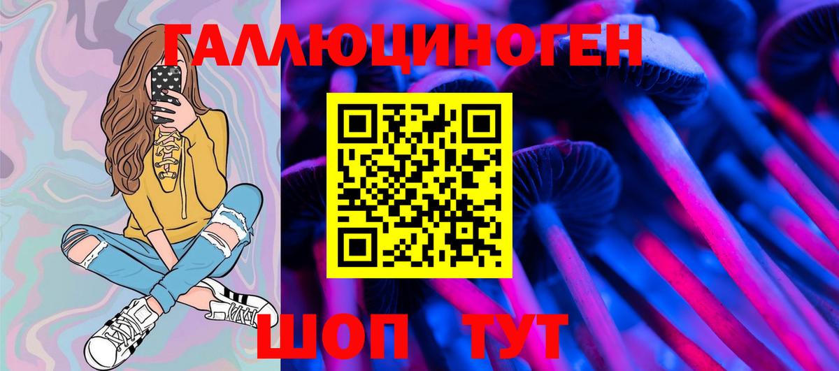 Псилоцибиновые грибы GOLDEN TEACHER  Галлюциногенные грибы мицелий  Темрюк 