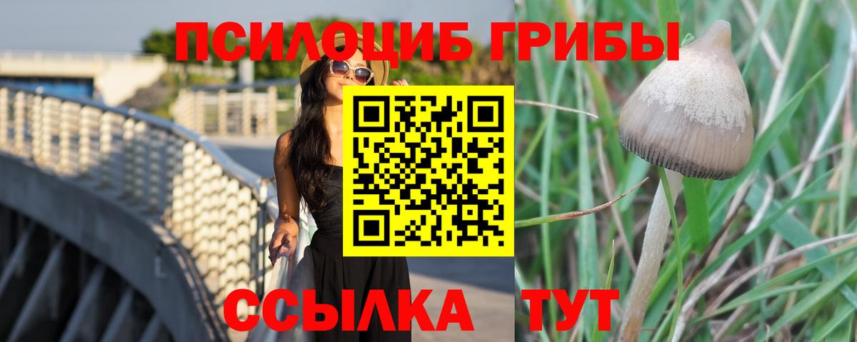 Псилоцибиновые грибы GOLDEN TEACHER Темрюк