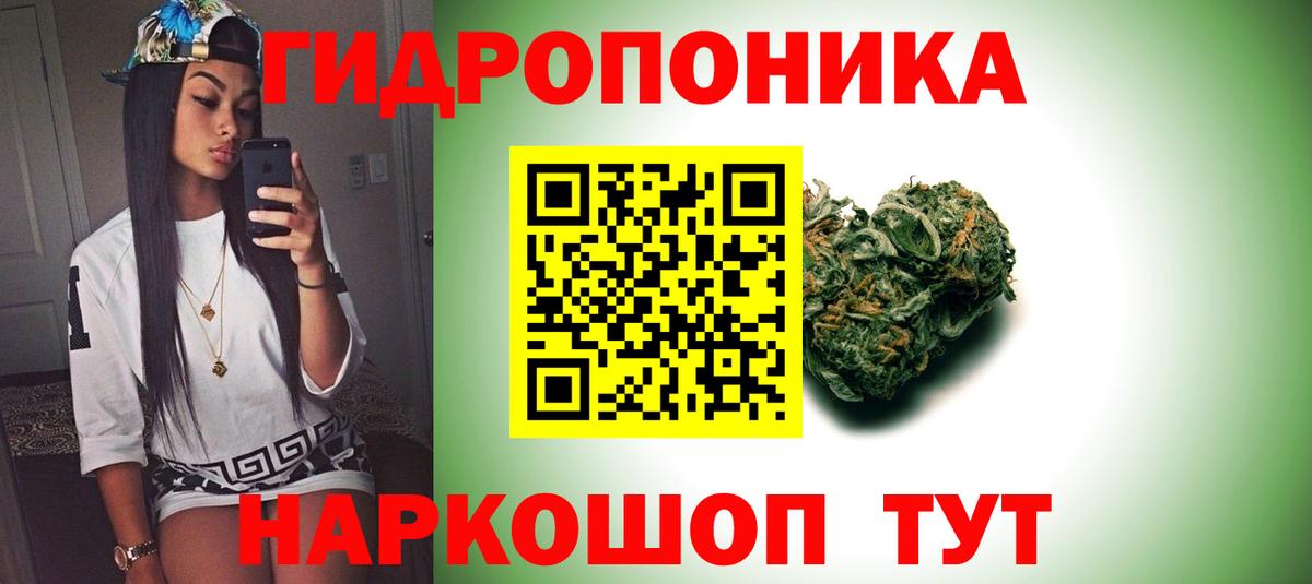 Каннабис сатива Темрюк