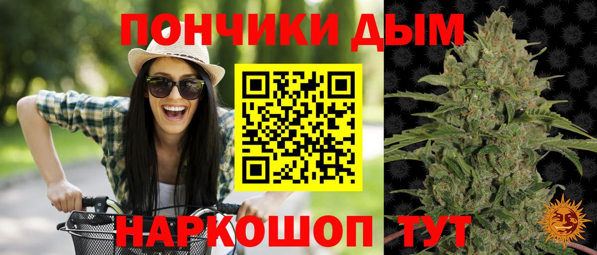 Конопля планчик  Канабис VHQ  Темрюк  Бошки Шишки конопля 